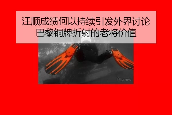wang-shun-cheng-ji-he-yi-chi-xu-yin-fa-wai-jie-tao-lun-ba-li-tong-pai-zhe-she-de-lao-jiang-jia-zhi-2-748.jpg